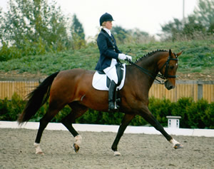 Tinsleys Riding School Clapham Bedfordshire