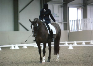 Tinsleys Riding School Clapham Bedfordshire