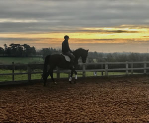 Tinsleys Riding School Clapham Bedfordshire
