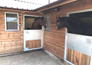 Tinsleys Riding School Clapham Bedfordshire