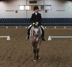 Tinsleys Riding School Clapham Bedfordshire
