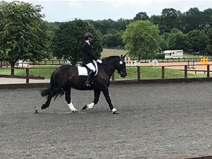 Tinsleys Riding School Clapham Bedfordshire