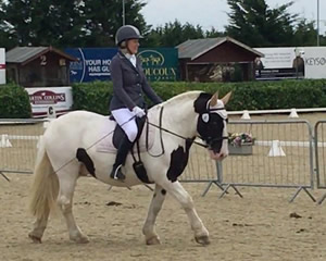 Tinsleys Riding School Clapham Bedfordshire