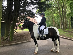 Tinsleys Riding School Clapham Bedfordshire