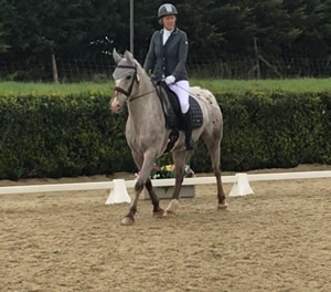 Tinsleys Riding School Clapham Bedfordshire