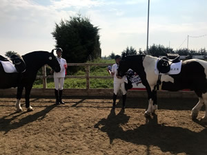 Tinsleys Riding School Clapham Bedfordshire