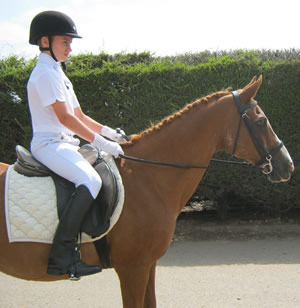 Tinsleys Riding School Clapham Bedfordshire