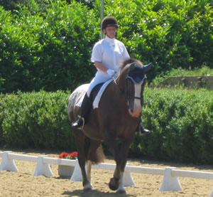 Tinsleys Riding School Clapham Bedfordshire