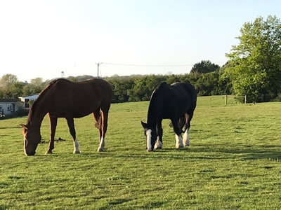 Tinsleys Riding School