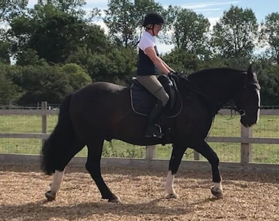 Tinsleys Riding School