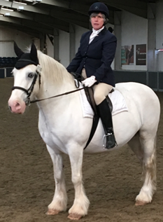 Tinsleys Riding School