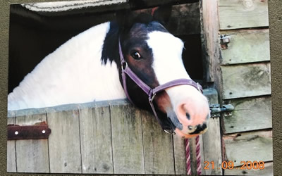 Tinsleys Riding School