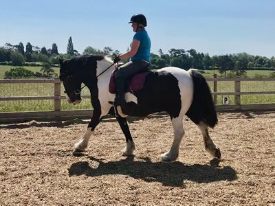 Tinsleys Riding School