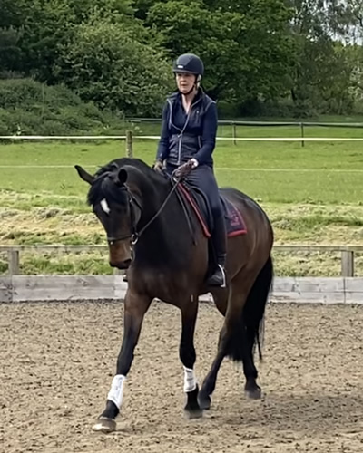 Tinsleys Riding School