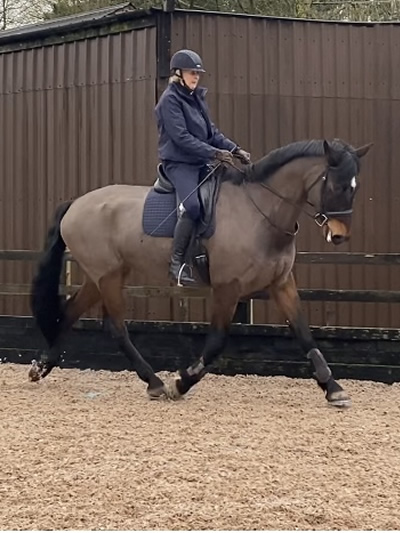 Tinsleys Riding School
