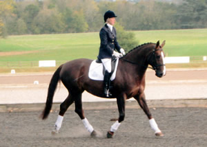 Tinsleys Riding School Clapham Bedfordshire