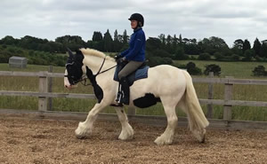 Tinsleys Riding School Clapham Bedfordshire