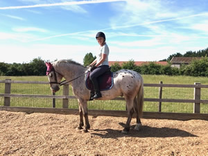 Tinsleys Riding School Clapham Bedfordshire