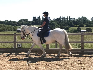 Tinsleys Riding School Clapham Bedfordshire