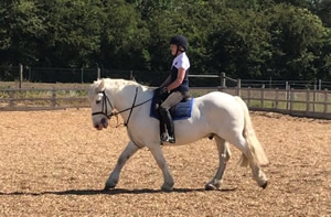 Tinsleys Riding School Clapham Bedfordshire
