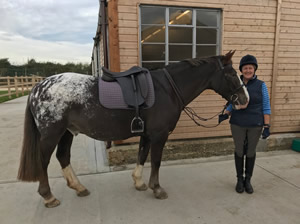 Tinsleys Riding School Clapham Bedfordshire