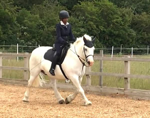 Tinsleys Riding School Clapham Bedfordshire