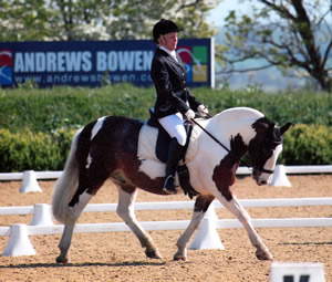 Tinsleys Riding School Clapham Bedfordshire