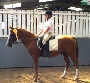Tinsleys Riding School Clapham Bedfordshire