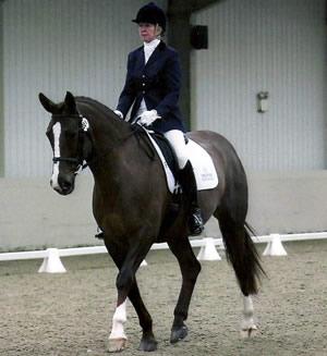 Tinsleys Riding School Clapham Bedfordshire
