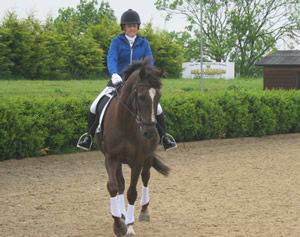 Tinsleys Riding School Clapham Bedfordshire