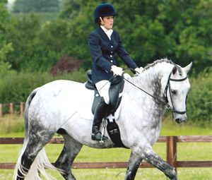Tinsleys Riding School Clapham Bedfordshire