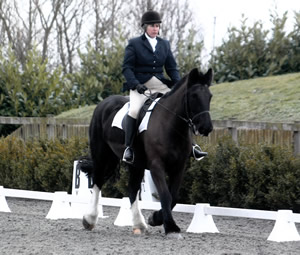 Tinsleys Riding School Clapham Bedfordshire