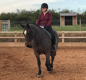 Tinsleys Riding School Clapham Bedfordshire