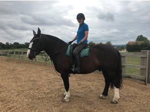 Tinsleys Riding School Clapham Bedfordshire