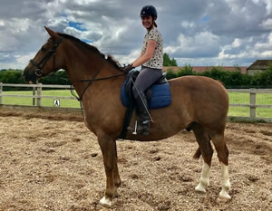 Tinsleys Riding School Clapham Bedfordshire