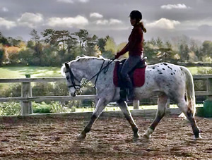 Tinsleys Riding School Clapham Bedfordshire