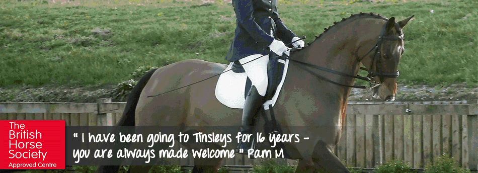 Tinsleys Riding School Clapham Bedfordshire