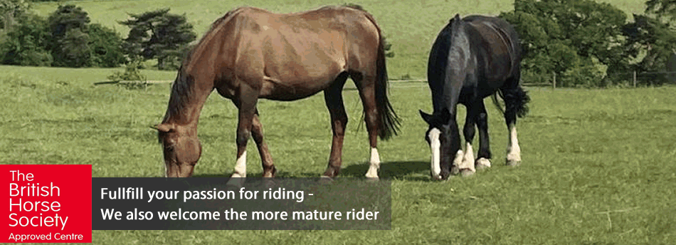 Tinsleys Riding School Clapham Bedfordshire