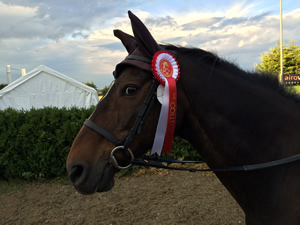 Tinsleys Riding School Clapham Bedfordshire
