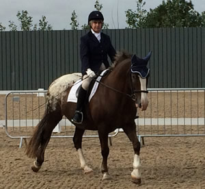 Tinsleys Riding School Clapham Bedfordshire