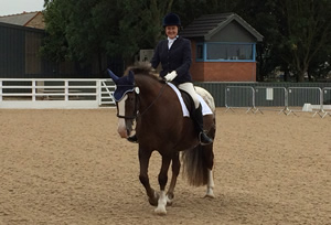 Tinsleys Riding School Clapham Bedfordshire