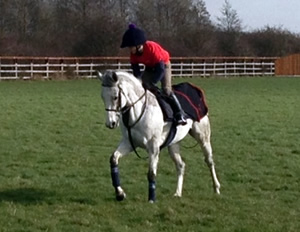 Tinsleys Riding School Clapham Bedfordshire