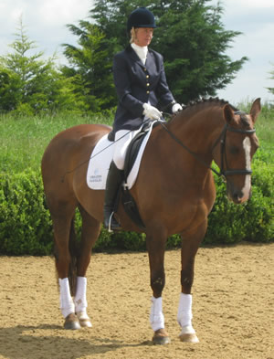 Tinsleys Riding School Clapham Bedfordshire