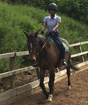 Tinsleys Riding School Clapham Bedfordshire