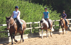 Tinsleys Riding School Clapham Bedfordshire